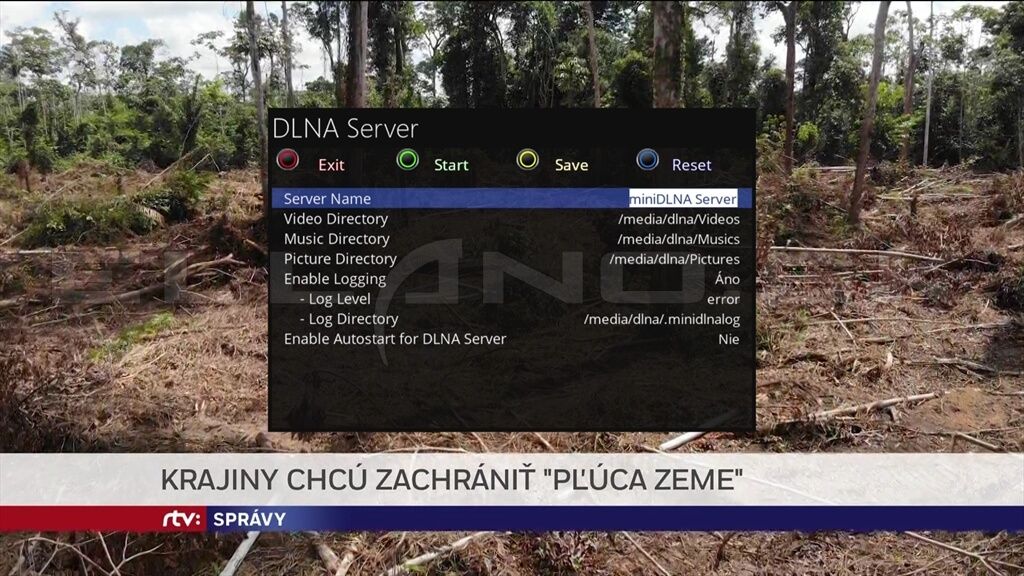 DLNA Server